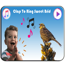 Birds Sweets Sounds Ringtones Free APK