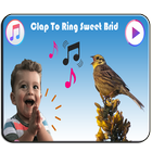 Birds Sweets Sounds Ringtones Free icône