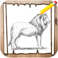 How to Draw Lion
