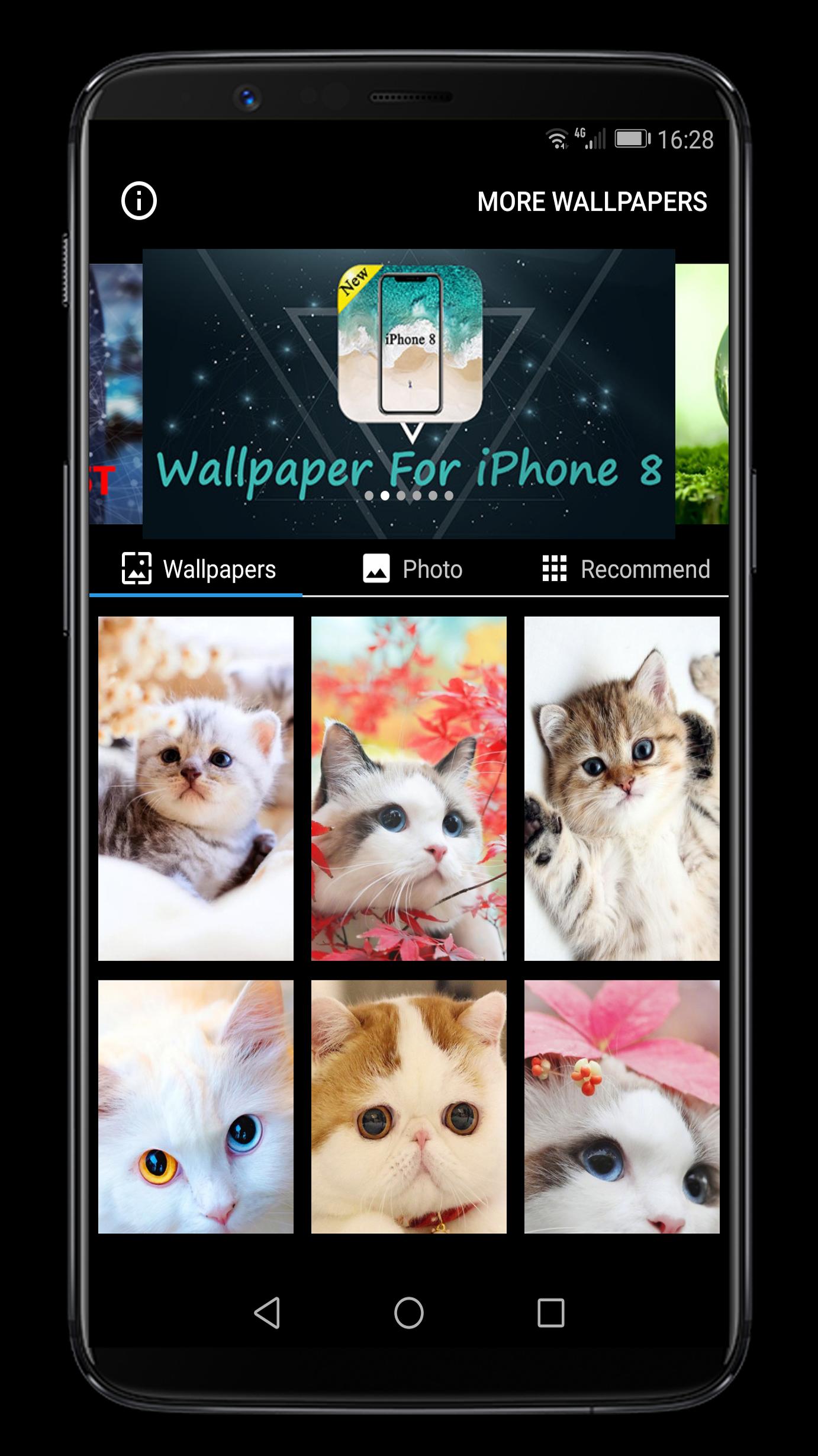 可爱猫高清手机壁纸安卓下载 安卓版apk 免费下载 可爱猫高清手机壁纸安卓下载 安卓版apk 免费下载