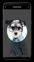 Super Cute Dog HD Wallpapers capture d'écran 3