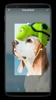 Super Cute Dog HD Wallpapers capture d'écran 1
