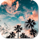 Beautiful Sky HD Wallpapers aplikacja