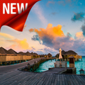 HD Live Wallpapers