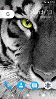 Tiger HD Wallpapers Affiche
