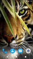 Tiger HD Wallpapers capture d'écran 1