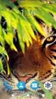 Tiger HD Wallpapers capture d'écran 2