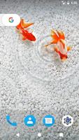 Goldfish HD Wallpapers Affiche