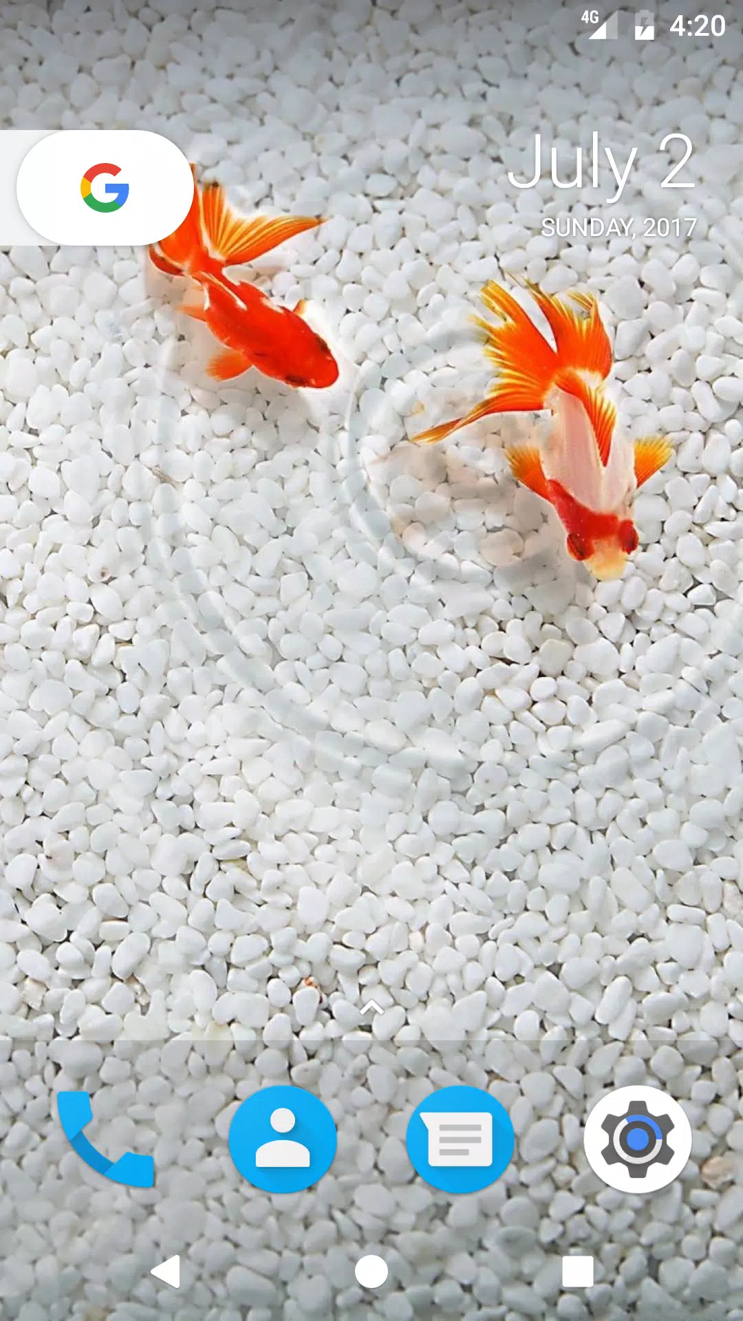 Goldfish HD Wallpapers APK for Android Download