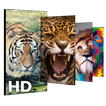Fonds d'écran pour animaux (4k HD - fond libre)