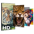 Animal wallpapers (4k HD Free background)