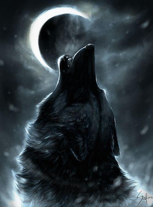 Cool Wolf Wallpapers HD for Android - APK Download