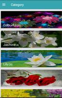 برنامه‌نما HD Wallpaper Flowers عکس از صفحه