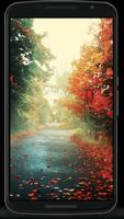 Nature Backgrounds poster