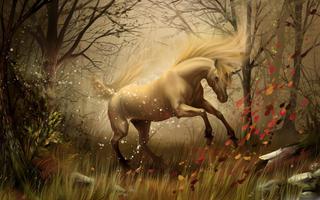 Unicorn Wallpapers HD screenshot 3