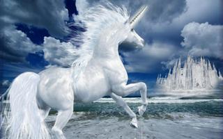 Unicorn Wallpapers HD plakat