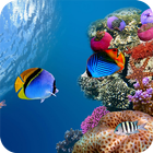Aquarium Wallpaper Zeichen