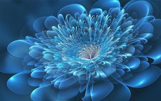 Blue Fowers Wallpaper screenshot 3