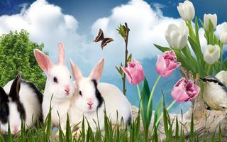 Easter Bunny Wallpaper capture d'écran 2
