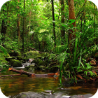 آیکون‌ Jungle Wallpapers HD