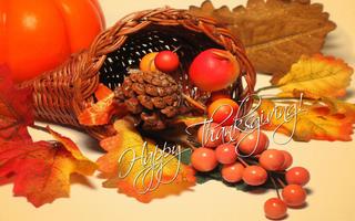 Thanksgiving Wallpapers скриншот 3