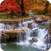 Nature Wallpapers