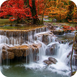 ”Nature Wallpapers