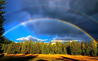 Rainbow Wallpaper الملصق
