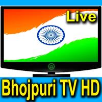 Bhojpuri TV Channels capture d'écran 3