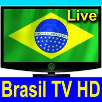 Brasil TV Channels HD capture d'écran 2