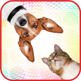 Sounds of cats and dogs icône