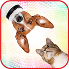 Sounds of cats and dogs icono