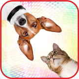 Sounds of cats and dogs icon