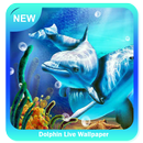 Hình nền sống Dolphin Live APK