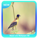 Nazar Live Wallpaper HD APK