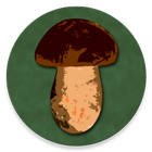 Book of Mushrooms ikon