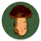 Book of Mushrooms icon