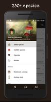 Book of Mushrooms screenshot 3