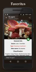 Book of Mushrooms APK Herunterladen