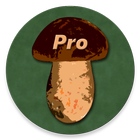 آیکون‌ Book of Mushrooms PRO