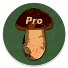 Book of Mushrooms PRO icône