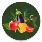 Овощи - рецепты icône
