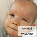 APK Amaris Willard