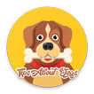 TipsAboutDogs & Training tips , Dog Care