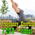 Pregnancy Workout Exercises
