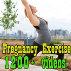 Pregnancy Workout-icoon
