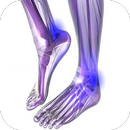 Diabetes Nerve Pain APK