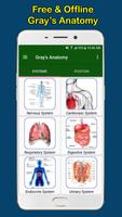 Gray's Anatomy – Atlas | Free & Offline poster