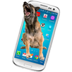 Real Dog On Screen (New Version) APK