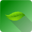 ”Ayurveda Home Remedies & Herbs